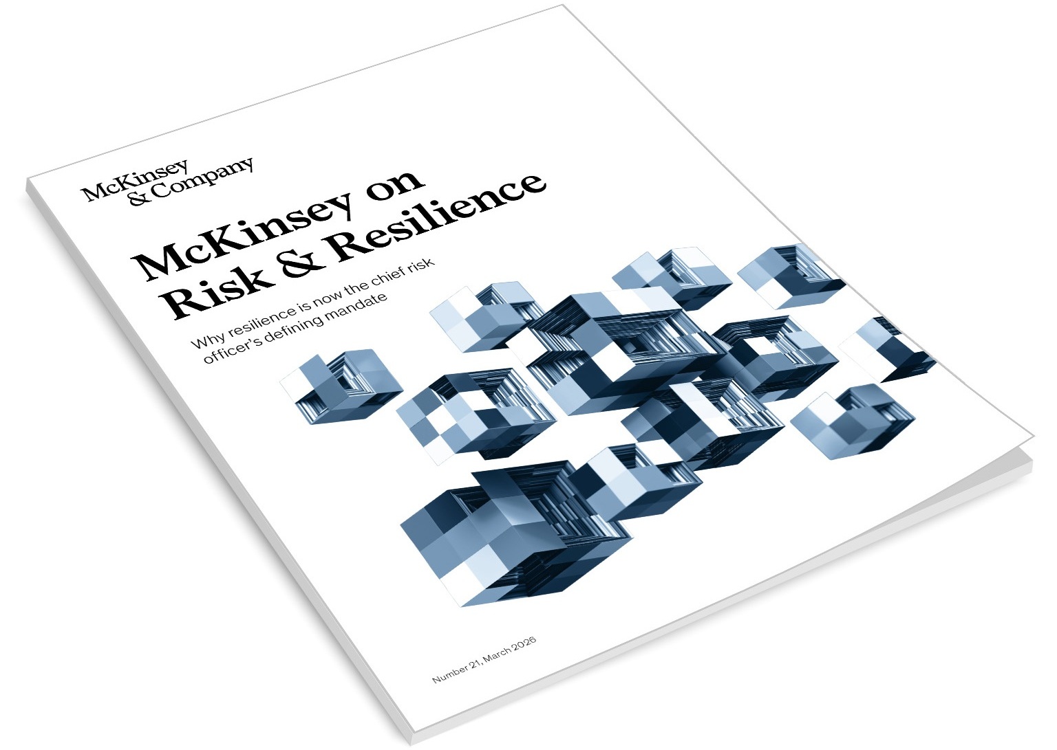 McKinsey on Risk and Resilience Issue 21